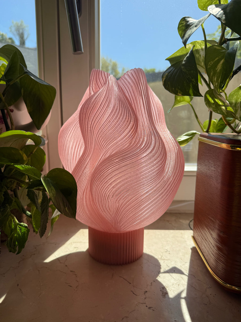 SOFT BLOOM - BLUSH ROSA